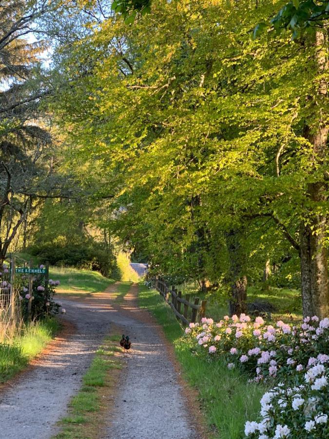 Glentruim Homestay B&B And Glamping Pods Newtonmore Buitenkant foto